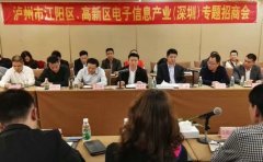 江陽區(qū)、瀘州國家高新區(qū)在深圳開展專題招商