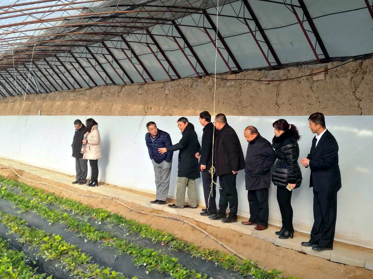 塞上江南河套腹地巴彥淖爾將冉起國家農高區(qū)