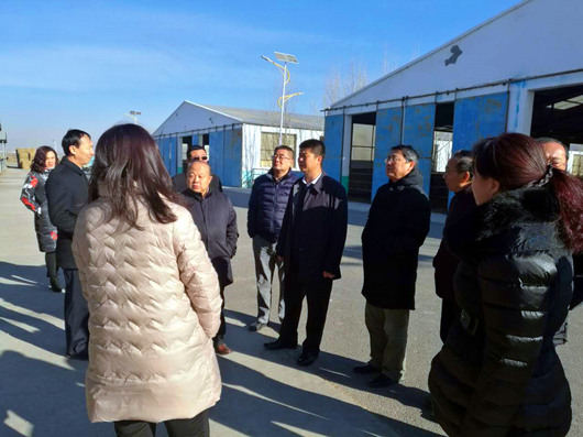 塞上江南河套腹地巴彥淖爾將冉起國家農高區(qū)
