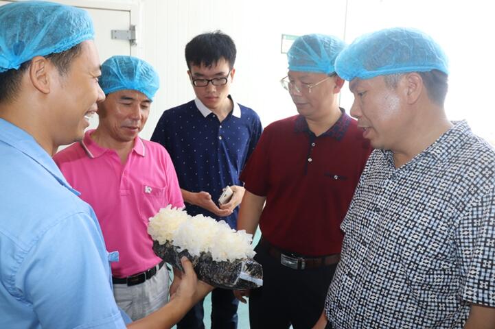 “湘軍故里，鋼鐵新城”我院助力婁底市開啟創(chuàng)新發(fā)展新篇章
