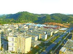 推動(dòng)提高醫(yī)藥產(chǎn)業(yè)規(guī)劃發(fā)展水平