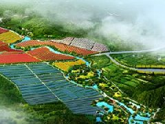 鄭州市工信局：積極構(gòu)建管城區(qū)、經(jīng)開區(qū)、中牟縣“兩區(qū)一縣”氫燃料電池汽車
