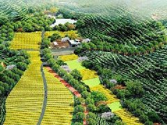 移動儲能產(chǎn)業(yè)園落戶湖南常德 計劃總投資達31.6億元