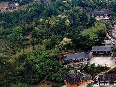 宜賓國(guó)家農(nóng)業(yè)科技園區(qū) 發(fā)揮導(dǎo)師所長(zhǎng) 專業(yè)服務(wù)企業(yè)