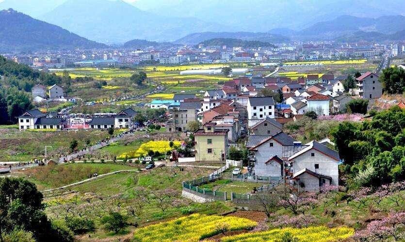 馬曉河 涂圣偉:實現(xiàn)農(nóng)民富、農(nóng)業(yè)強(qiáng)、農(nóng)村美的路線圖