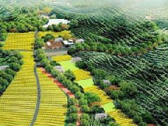自治區(qū)科技廳關(guān)于2022年廣西農(nóng)業(yè)科技園區(qū)擬認(rèn)定名單的公示