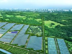 市政府召開秦皇島市郵輪游艇產(chǎn)業(yè)發(fā)展規(guī)劃專家評審會
