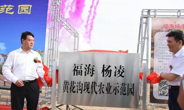 新疆福??h攜手楊凌高新區(qū)打造中國(guó)高緯度農(nóng)業(yè)示范基地