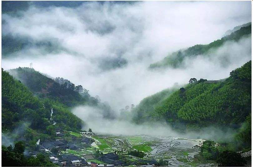 四、農(nóng)村一二三產(chǎn)業(yè)融合發(fā)展先導區(qū)項目