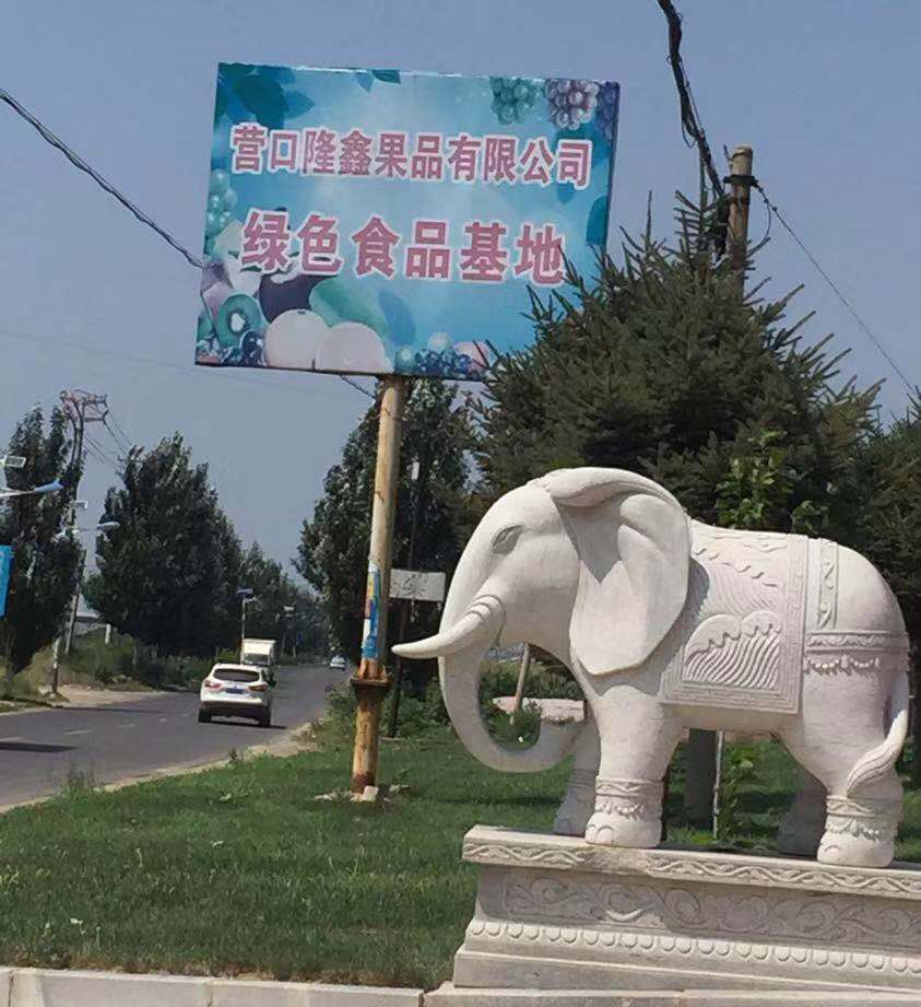 東北水果之鄉(xiāng)迎來(lái)發(fā)展新機(jī)遇，蓋州爭(zhēng)創(chuàng)省級(jí)現(xiàn)代農(nóng)業(yè)產(chǎn)業(yè)園