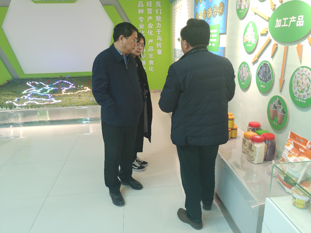 “中國薯都”再奏新旋律，定西市安定區(qū)開啟馬鈴薯產(chǎn)業(yè)發(fā)展新篇章