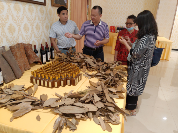 龔州大地，龍眼飄香-平南現(xiàn)代農(nóng)業(yè)正釋放科技創(chuàng)新活力