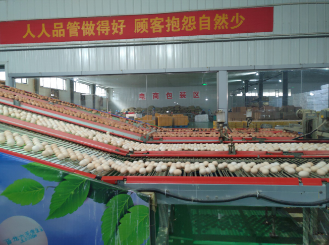 后稷故里，板棗之鄉(xiāng)——山西省稷山縣大力爭(zhēng)創(chuàng)國(guó)家現(xiàn)代農(nóng)業(yè)產(chǎn)業(yè)園
