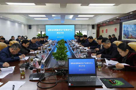 湘雁輸變電產(chǎn)業(yè)服務(wù)中心在長沙成立，湖南輸變電產(chǎn)業(yè)開啟發(fā)展新篇章