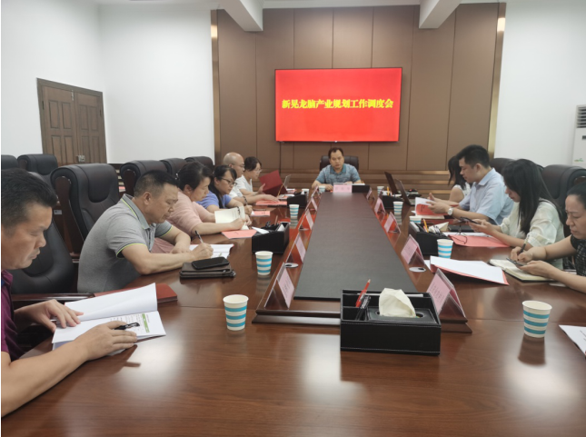 發(fā)力五型經(jīng)濟(jì)，著力打造“中國(guó)龍腦之都”