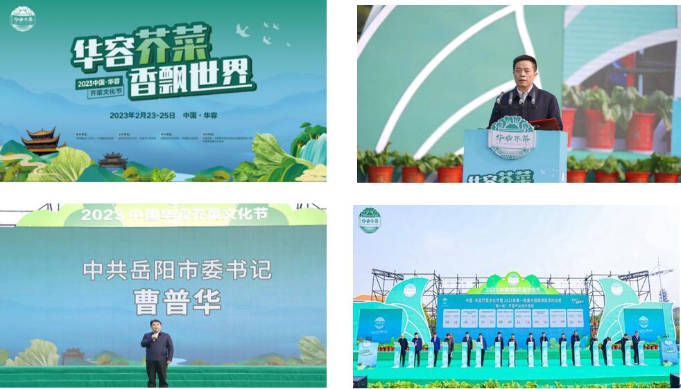 華容芥菜香飄四海，創(chuàng)建國家現代農業(yè)產業(yè)園恰逢其時