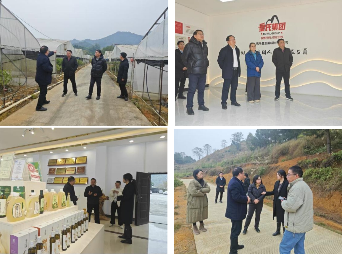 長壽之鄉(xiāng)，逐路之行——高新院專家組一行赴廣西巴馬瑤族自治縣開展河池農(nóng)高區(qū)創(chuàng)建調(diào)研